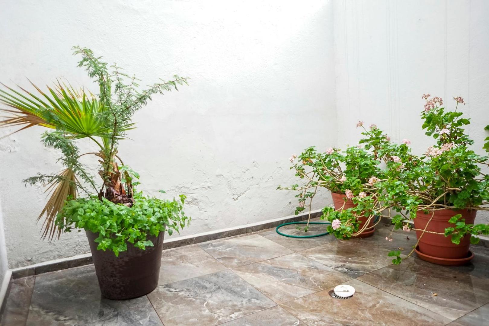 Casa Morelos Stayhouse San Luis Potosí Exteriér fotografie